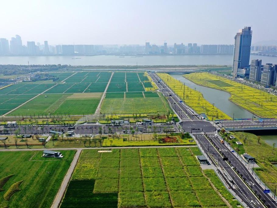 杭州地王猜想：土拍重回价高者得，谁将率先破纪录？