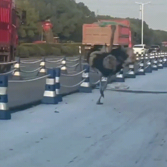 640.gif
