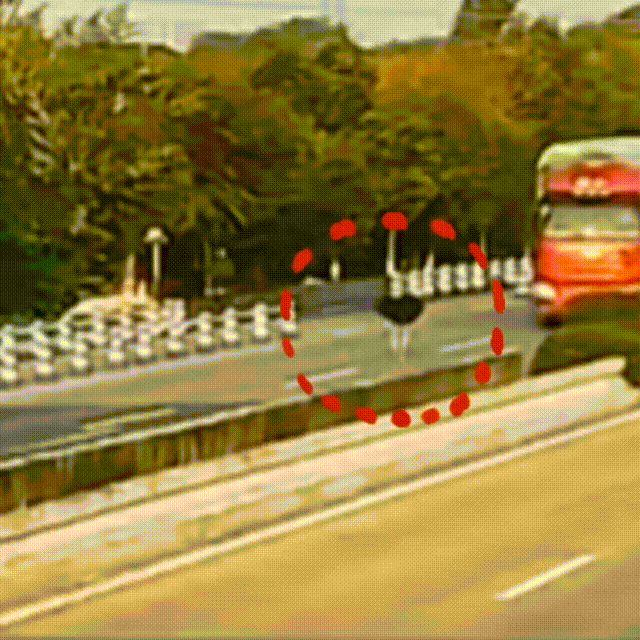 640 (1).gif