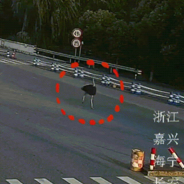 640 (2).gif