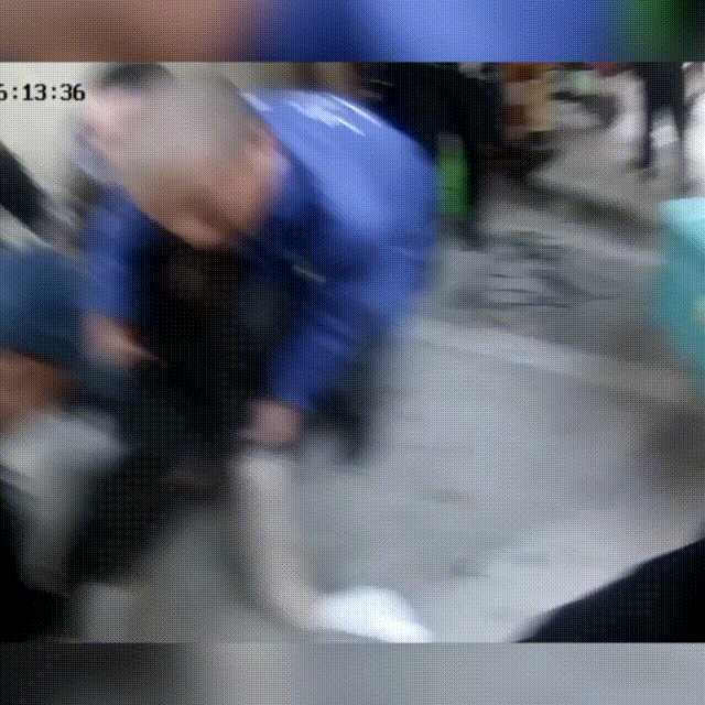 640 (3).gif