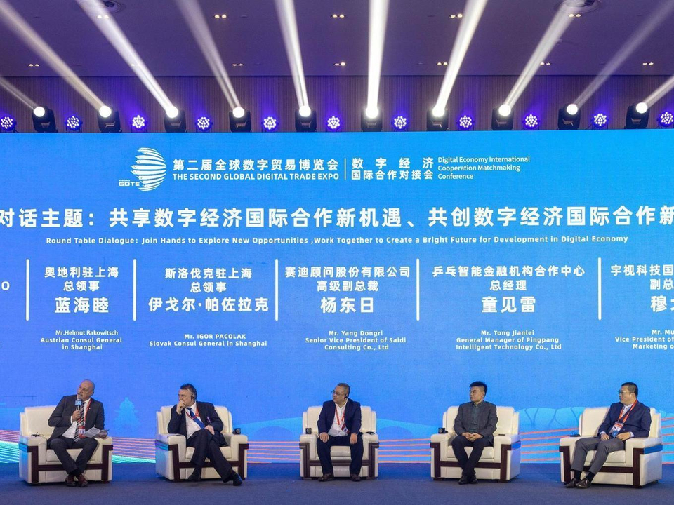 双向奔赴新起点 数贸会首次举办数字经济国际合作对接活动