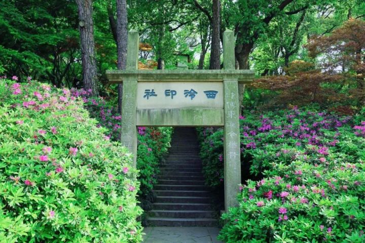 1735808470285971456.jpg 图片
