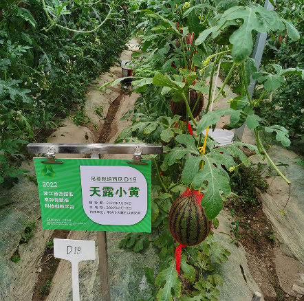 微信图片_20231228104346.png