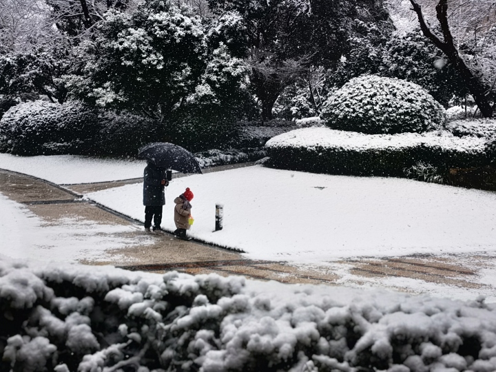 冷冷冷！2024年衢州首场雪来了，这场雪啥时候停？