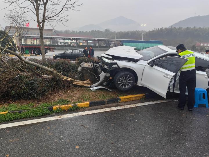 高速服务区惊现“车撞树”事故,驾驶员坦言:我太累了!