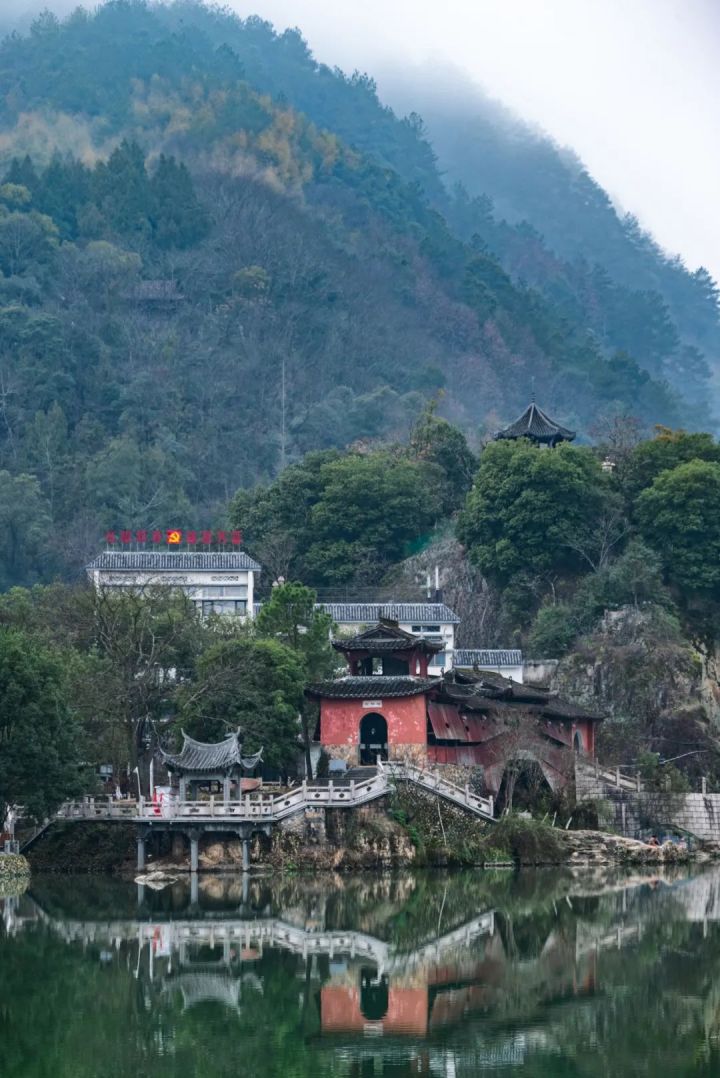 一场春雨，在庆元寻到了江南