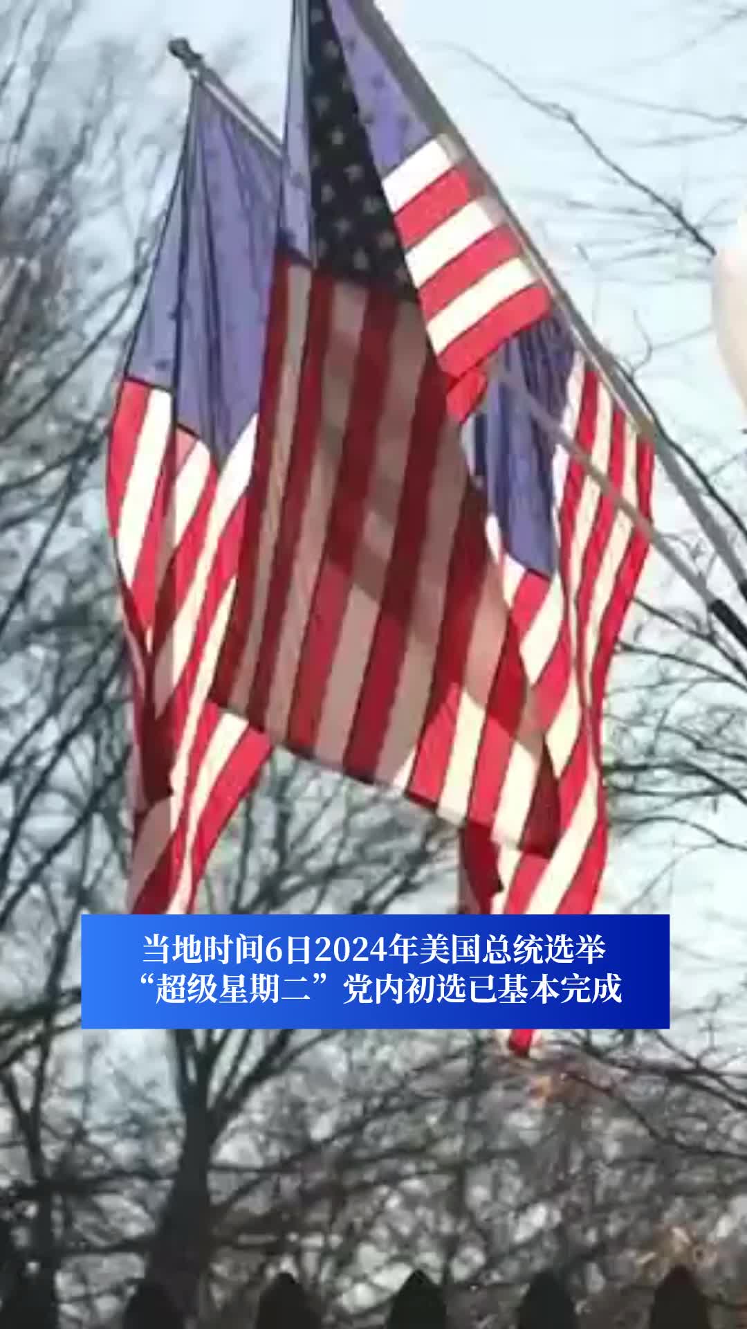 超级星期二” 拜登和特朗普成最大赢家美国总统大选“中途退场者”还有谁？