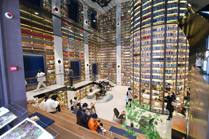 以书为媒 以海为介 舟山打造"在海边读书"全民阅读新图景