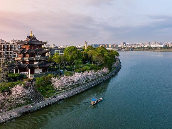 解锁古城衢州火爆出圈的文旅密码