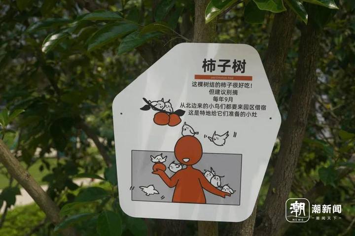 1789164823947407360.webp 图片