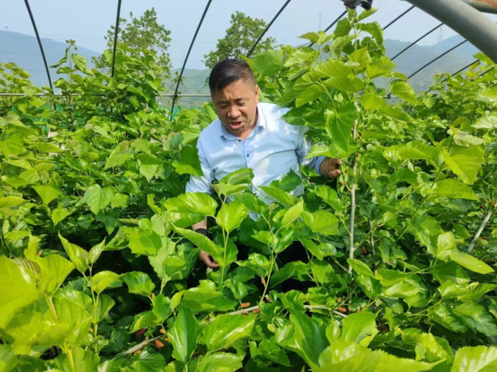 用好手机“新农具”，做好直播“新农活” 定海一村书记在全省领雁论坛分享治村经验