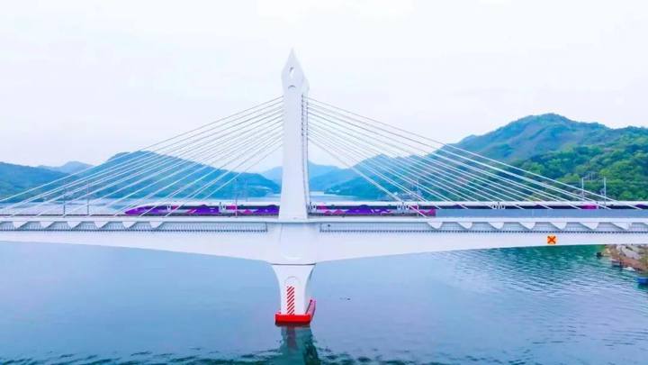 1801488460230291456.webp 图片