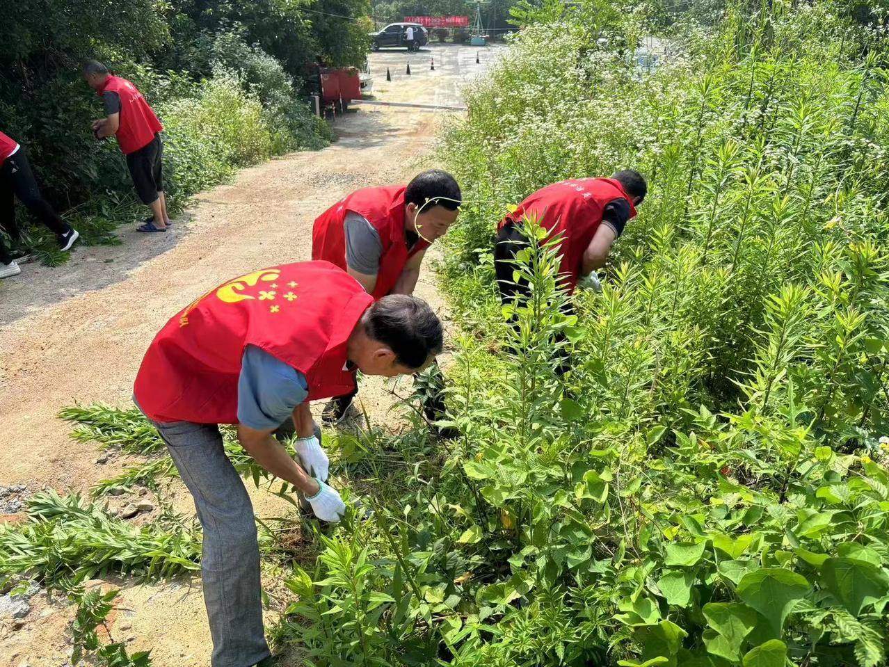 径善径治 茶韵飘香 “茶多分”引领基层治理新风尚