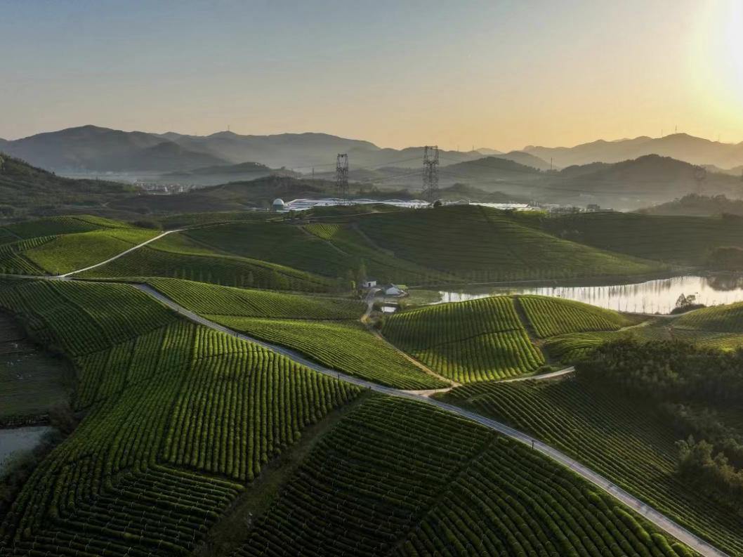 杭州余杭:激发奋进新力量,让世界看到未来乡村共富的“径山典范”
