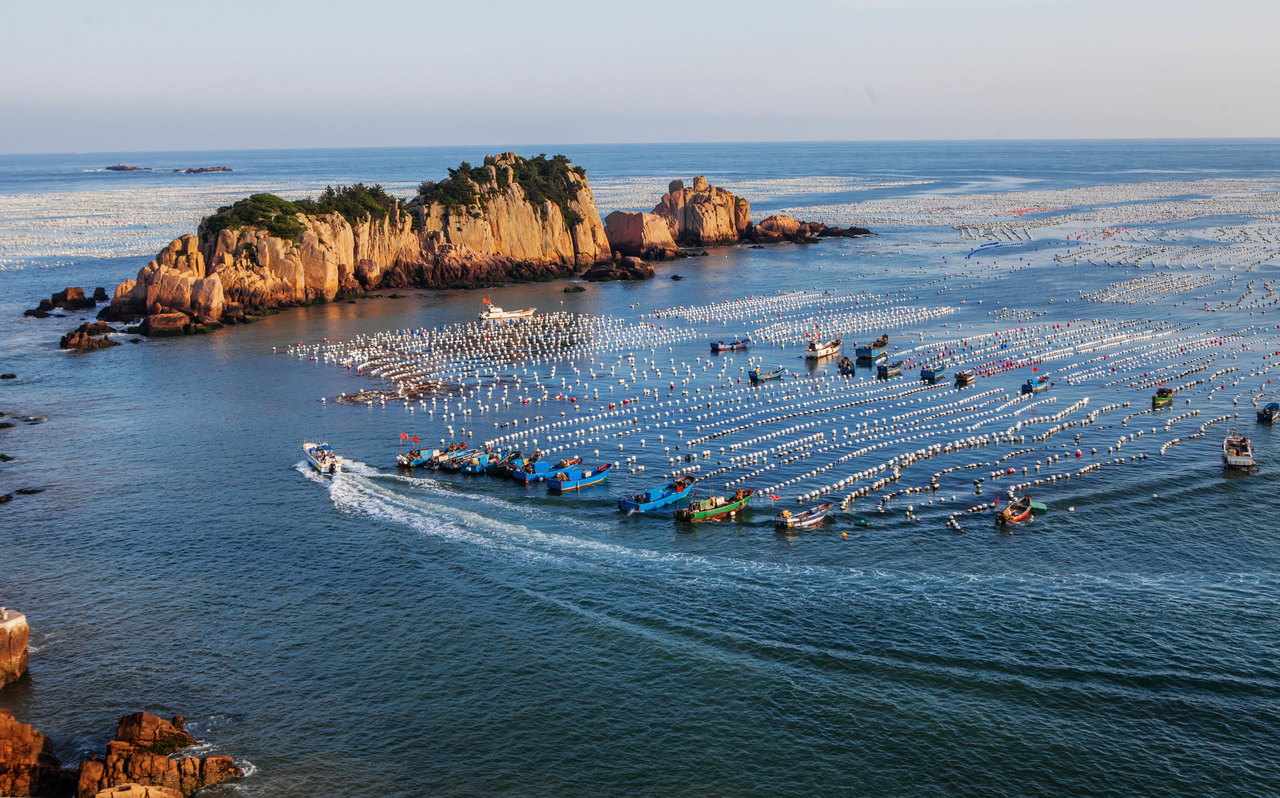 黄岛海洋牧场图片