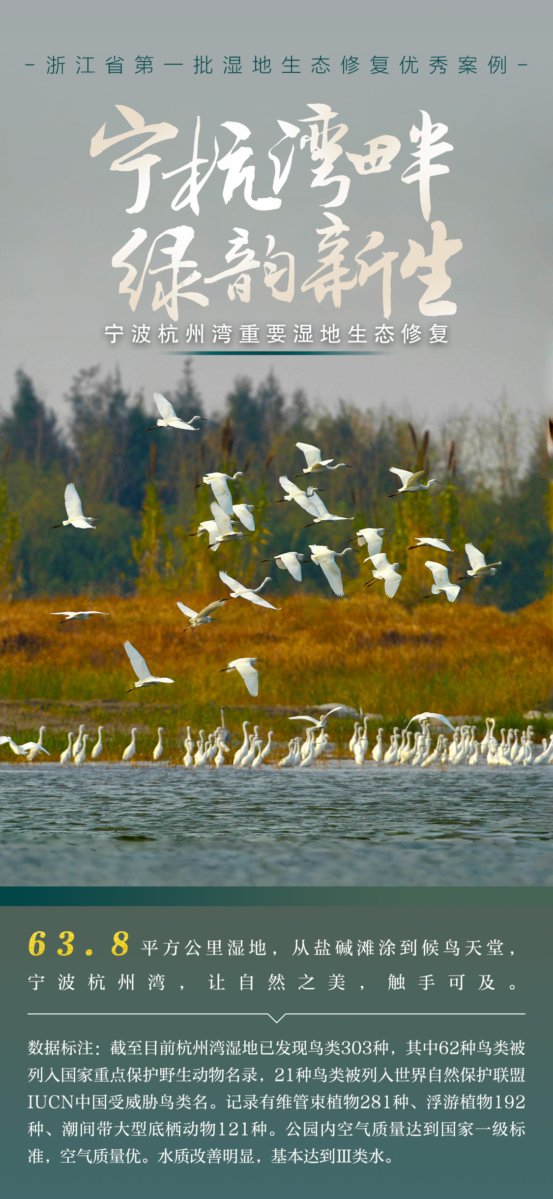 杭州宁波湾.jpg