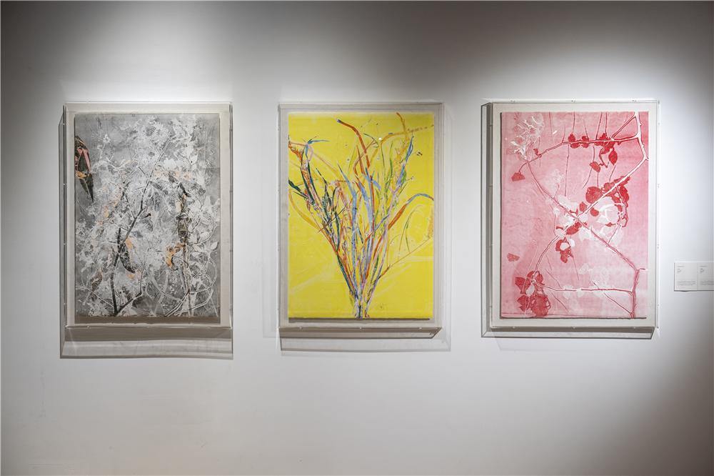 人与自然之间的对话 “以土为源——当代视觉艺术生态作品展”苏州举办