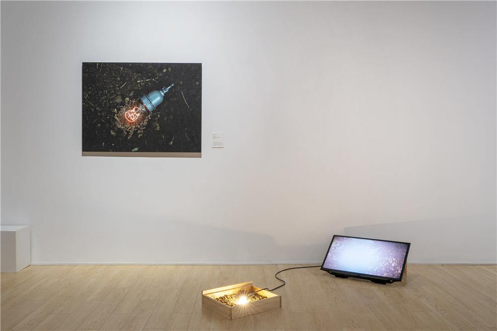 人与自然之间的对话 “以土为源——当代视觉艺术生态作品展”苏州举办