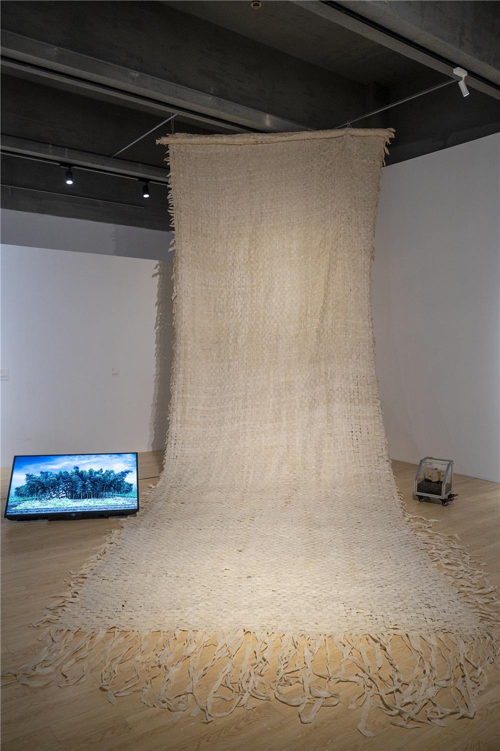 人与自然之间的对话 “以土为源——当代视觉艺术生态作品展”苏州举办