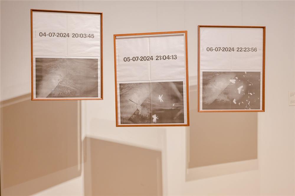 人与自然之间的对话 “以土为源——当代视觉艺术生态作品展”苏州举办