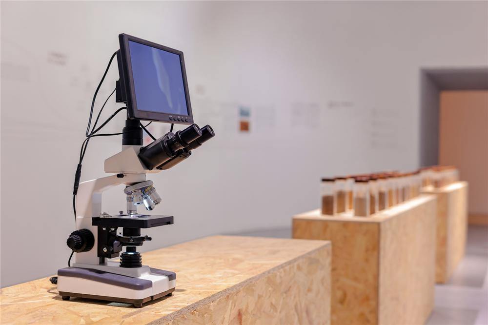 人与自然之间的对话 “以土为源——当代视觉艺术生态作品展”苏州举办