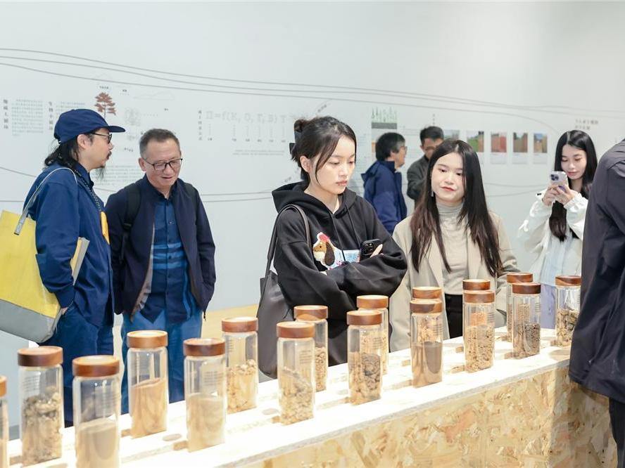 人与自然之间的对话 “以土为源——当代视觉艺术生态作品展”苏州举办