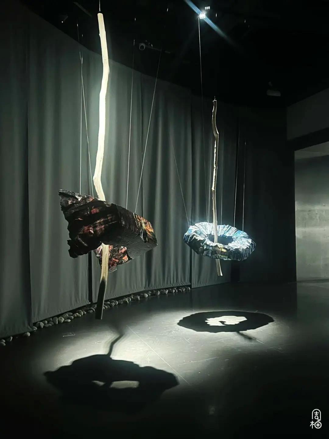 浙江美术馆“上新”放大招，5展齐开美到失语