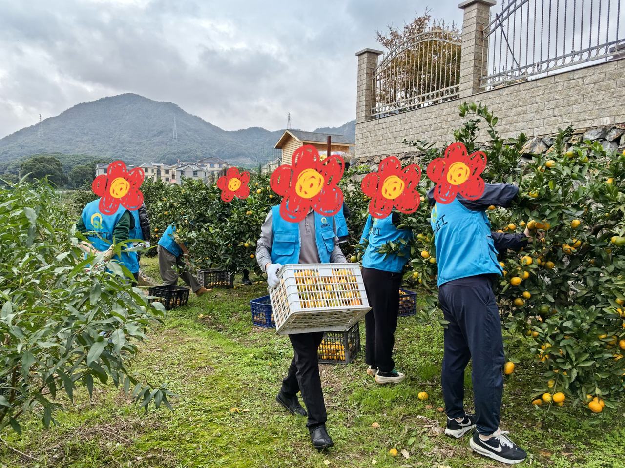 这里有一场特殊的采摘活动,“帮助有需要的人也是帮助自己”