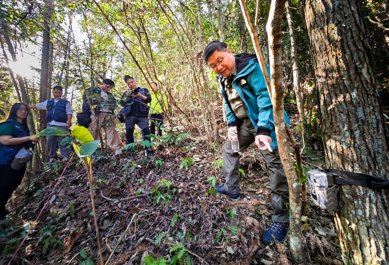 神奇动植物在哪里?环保志愿者探秘九龙山.jpg