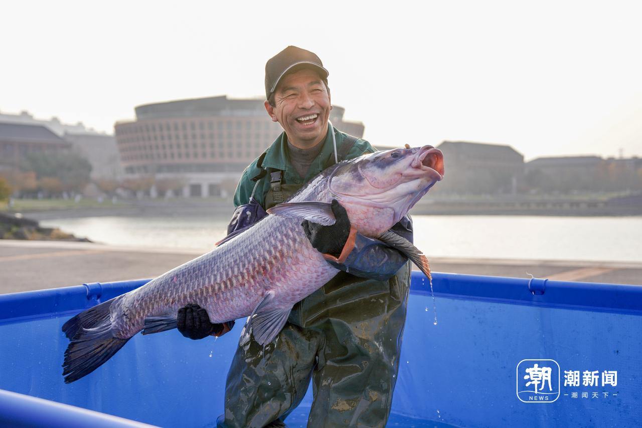 鱼王45斤!浙大海宁国际校区拉网捕鱼迎冬至