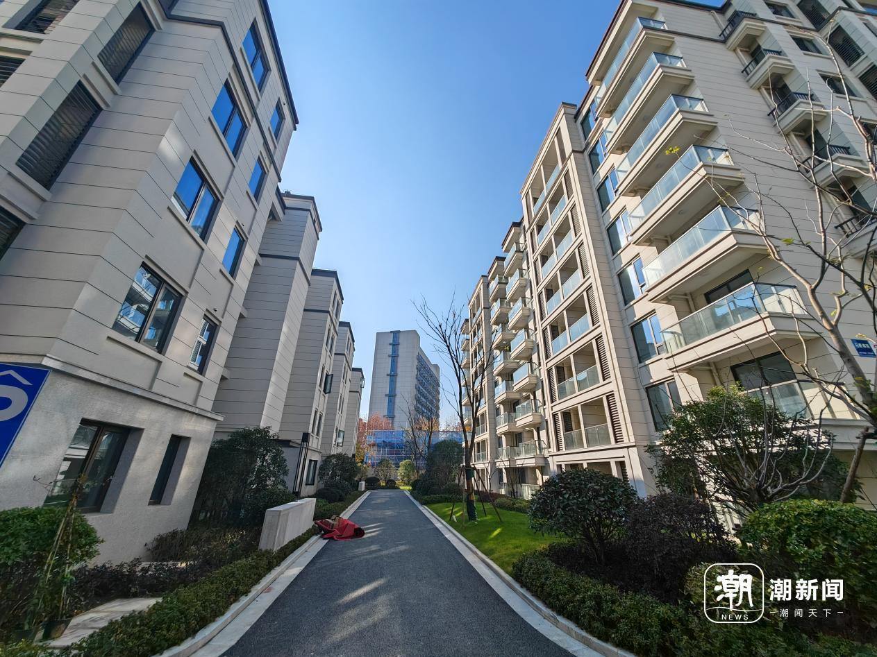 市中心原拆原建的学区房要选房了！评估价5.5万元/㎡左右