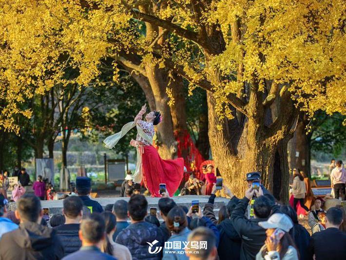 林长制守护义乌古树名木：传承历史文化 守护绿色瑰宝