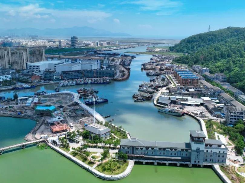 向海图强，龙港加快建设国家级沿海渔港经济区试点