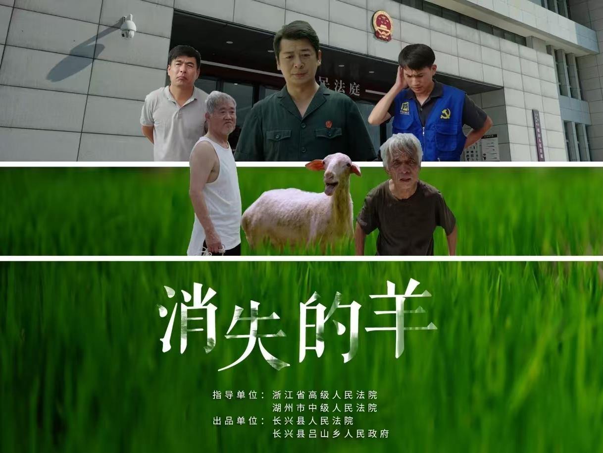 六只羊的“消失之谜”,何以获评全国法院最高奖项?