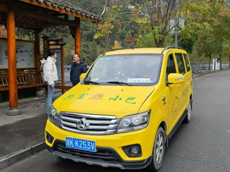 浙报关注丨预约公交车,能解决丽水山区出行难吗?