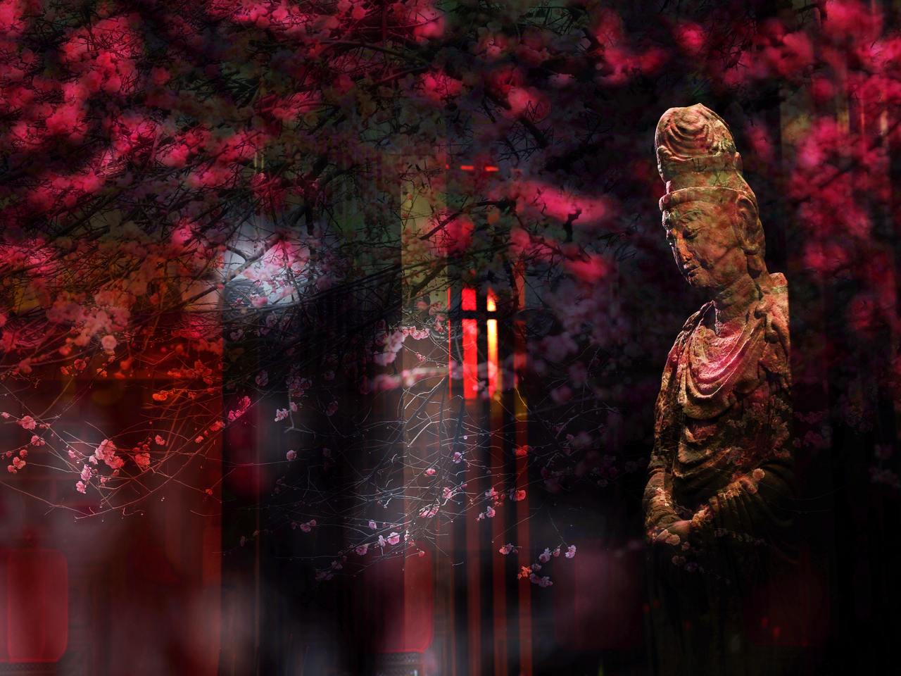 连续三年自驾拍摄湖州铁佛寺六瓣红梅,只因这是他心里的江南第一梅