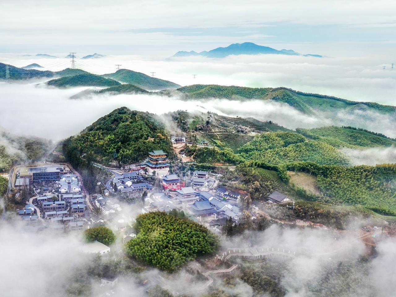 余杭径山:春茶季绘就产业发展新画卷