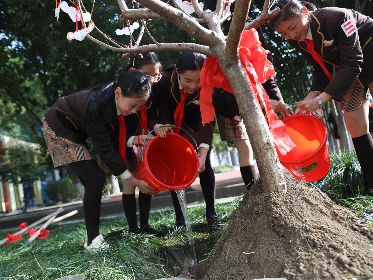 　　2025年，杭州崇文实验学校的学生们种下毕业树。