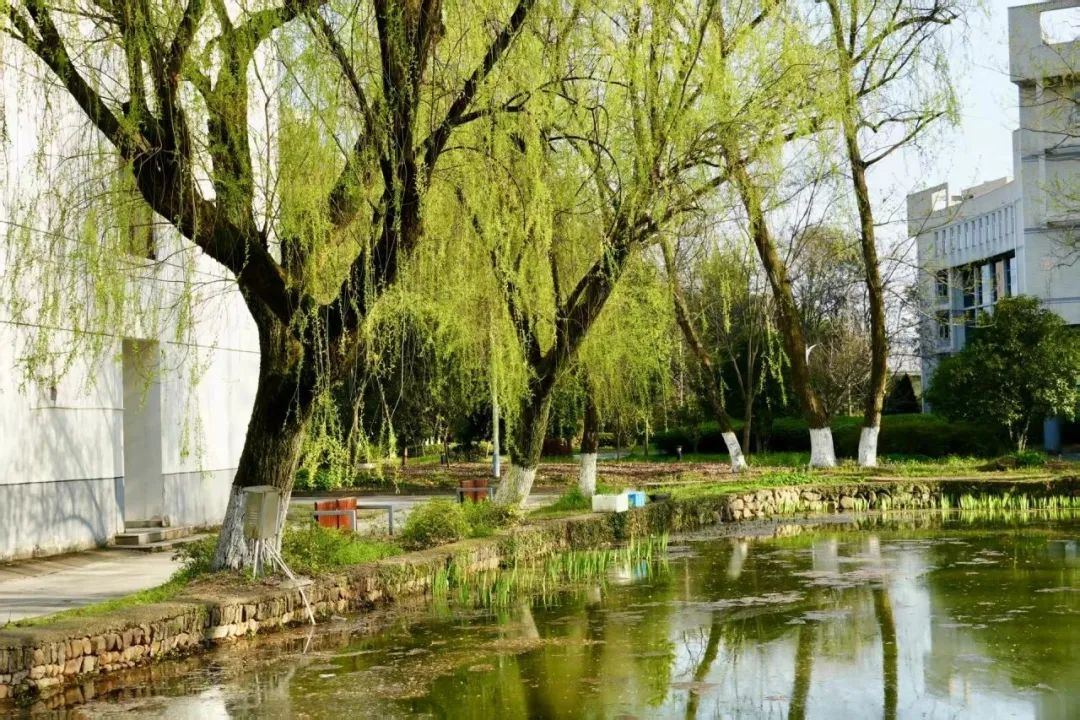 微信图片_20250401150202.jpg