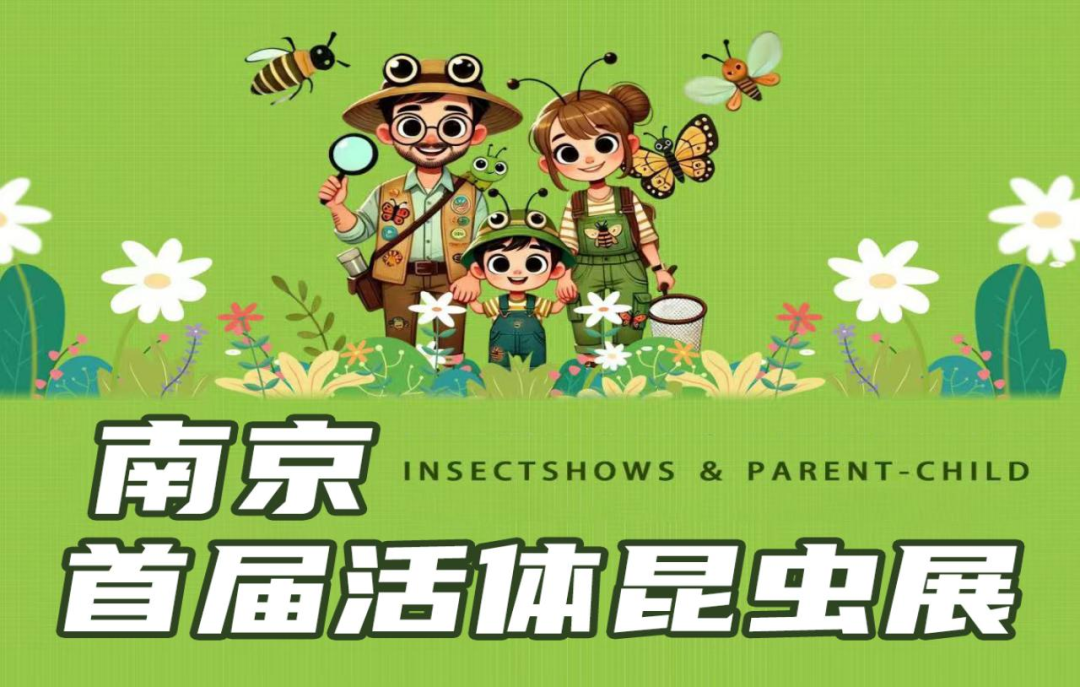 a3a80051f27a8220ae6dc07489f92f71.png