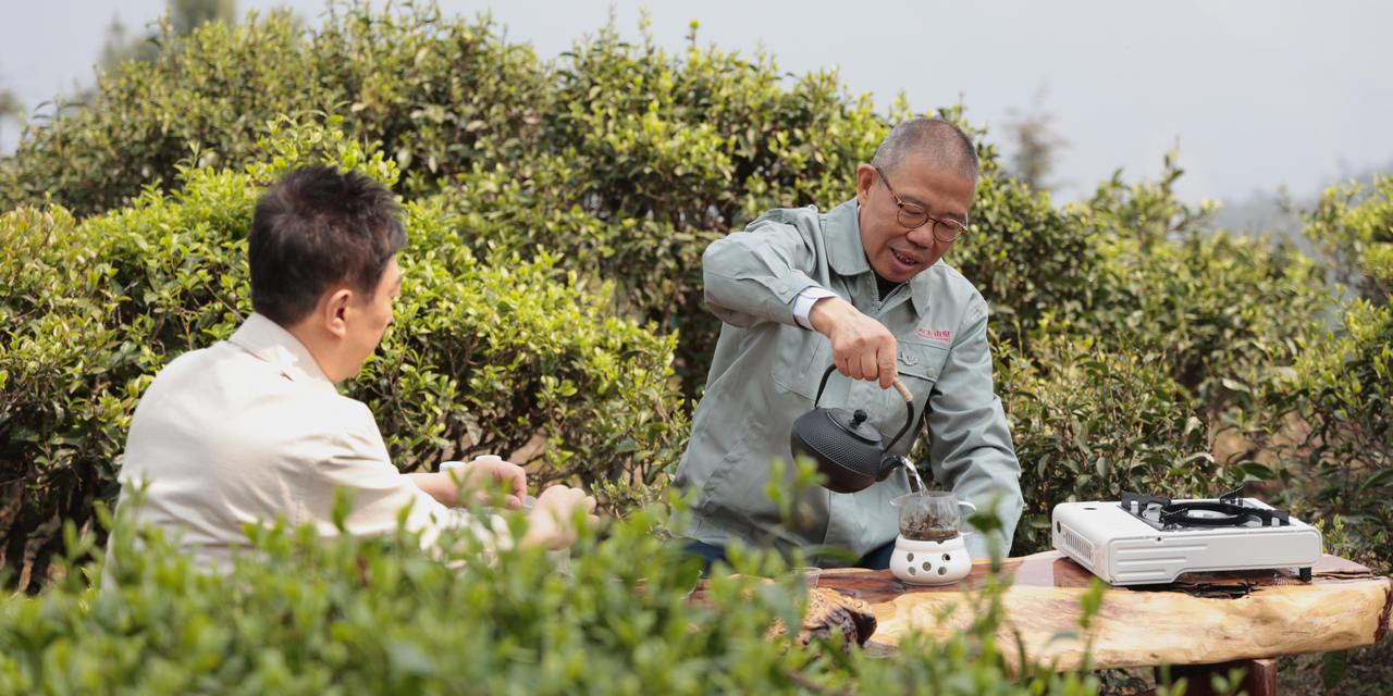 观茶家丨钟睒睒的云南茶局