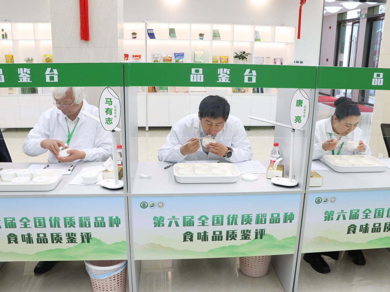 记者到杭州富阳参加全国优质稻品种食味品质鉴评——从一碗米饭中品出食味之道