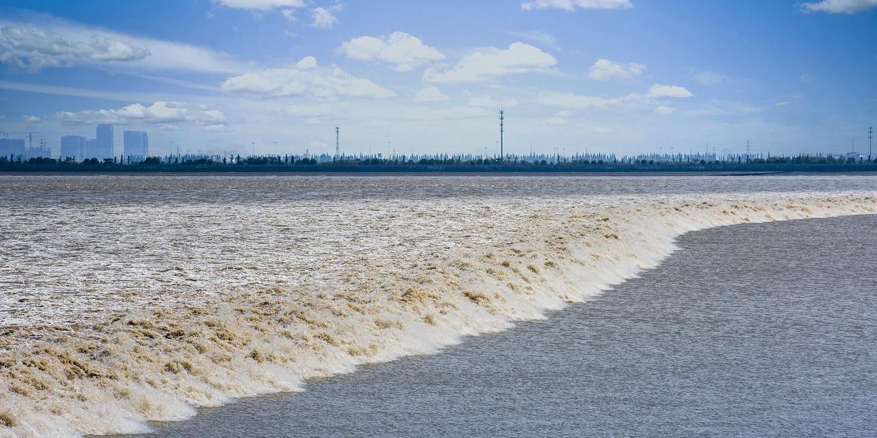 央视《新闻联播》聚焦浙江高水平对外开放：跳出浙江发展浙江 在更大空间实现更大发展