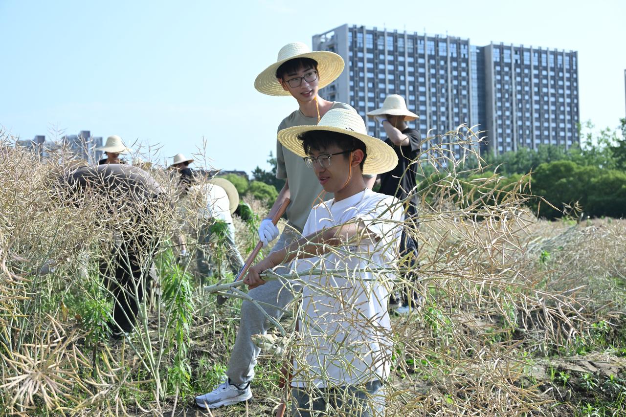 微信图片_20250522103443.jpg