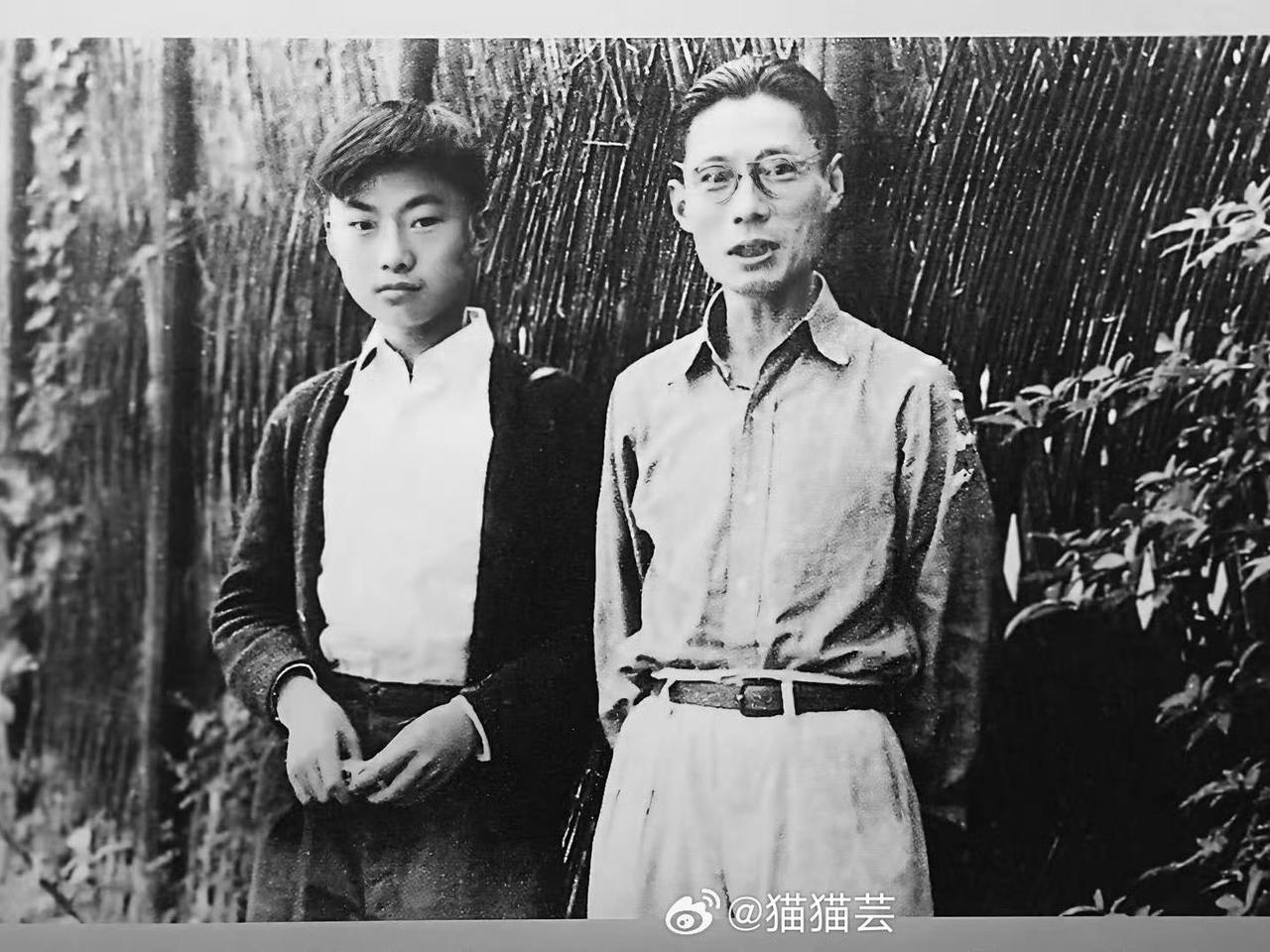 夏衍之子沈旦华逝世，享年88岁