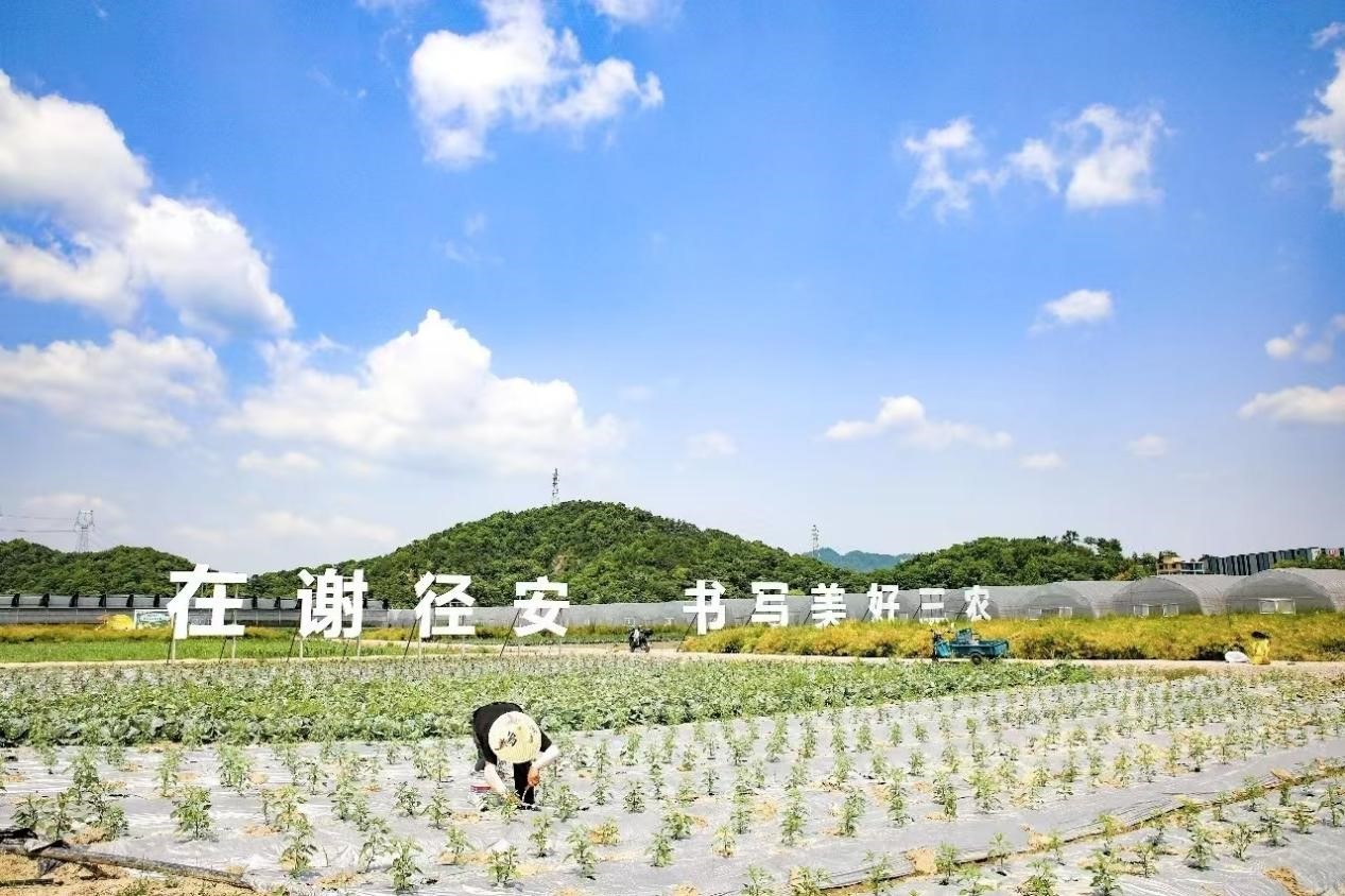 政府工作报告70次提到企业!萧山为何如此关注这个词?