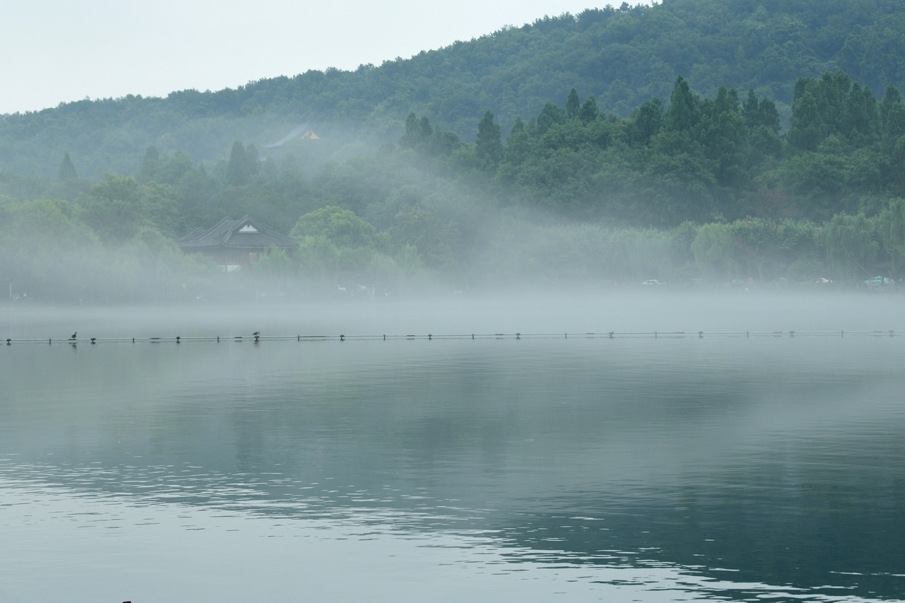 是烟雨江南的味道,入梅后的雨水让西湖美若仙境,摄影师传授出片秘诀