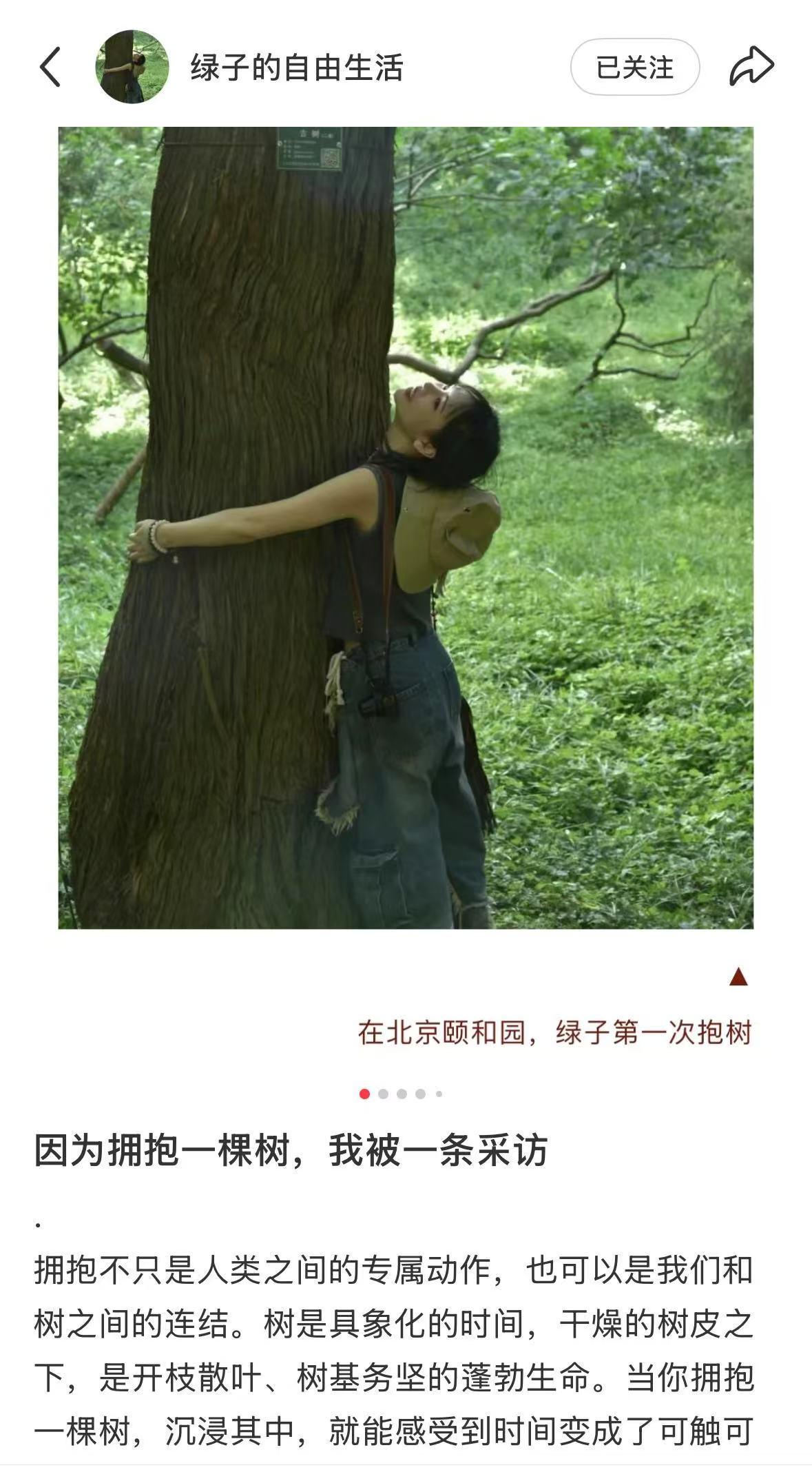潮声丨“树疗”的背后,是“抱树自由”还是“森林生意”?