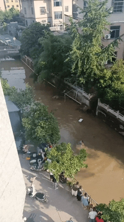 1935534112257323008.gif 图片